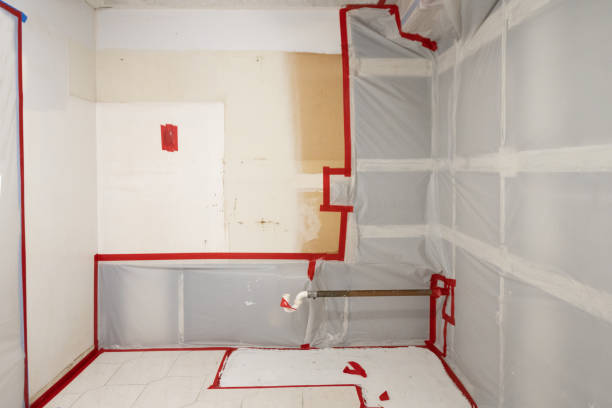 Best Mold Removal for HVAC Installations  in Westport, IN