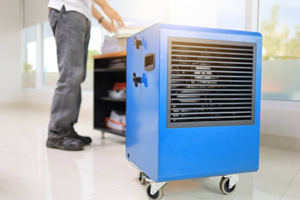Best Mold Damage Restoration  in Westport, IN